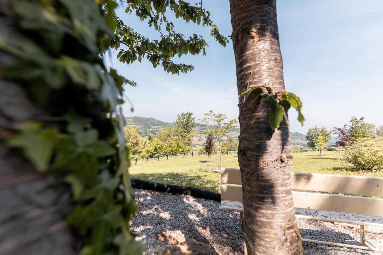 Ca' Del Magu Villa San Michele Mondovi Ngoại thất bức ảnh
